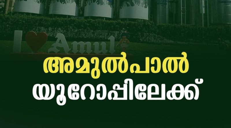 അമുലിന്റെ അമേരിക്കന്‍ വിപണീപ്രവേശം വന്‍വിജയം